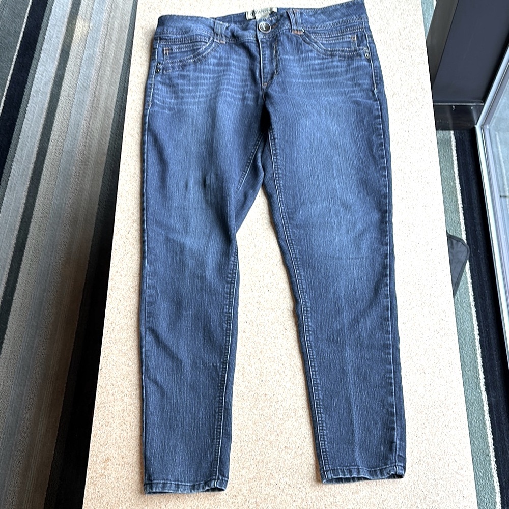 Democracy Classic Blue Women's Jegging Jeans, size 12